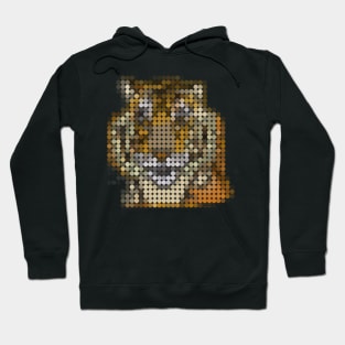 Animals Portrait Tiger in Dots Hoodie